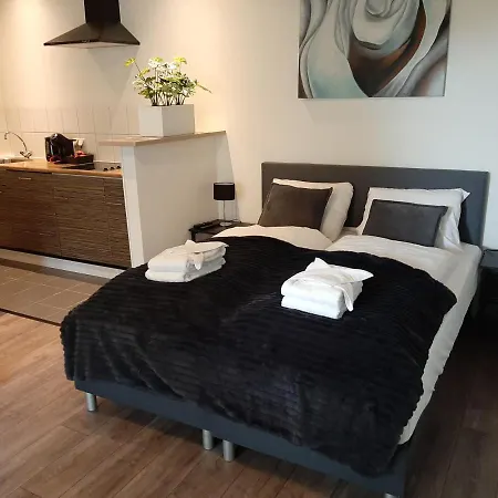 De Vier Linden Bed & Breakfast 3*