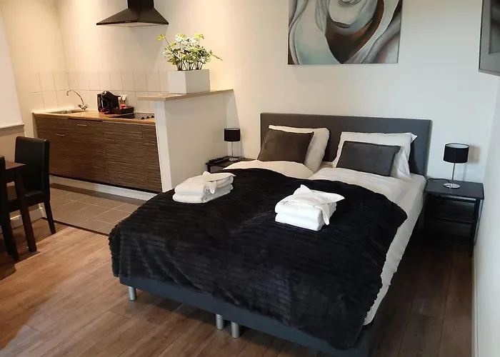 De Vier Linden Bed & Breakfast 3*